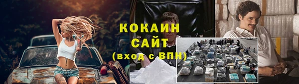 сатива Краснослободск