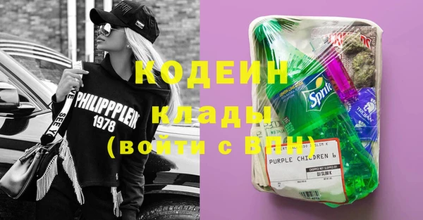 сатива Краснослободск