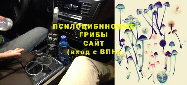 сатива Краснослободск