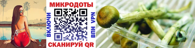 продажа наркотиков Лакинск Галлюциногенные грибы Psilocybe
